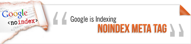 Noindex-Meta-Tag