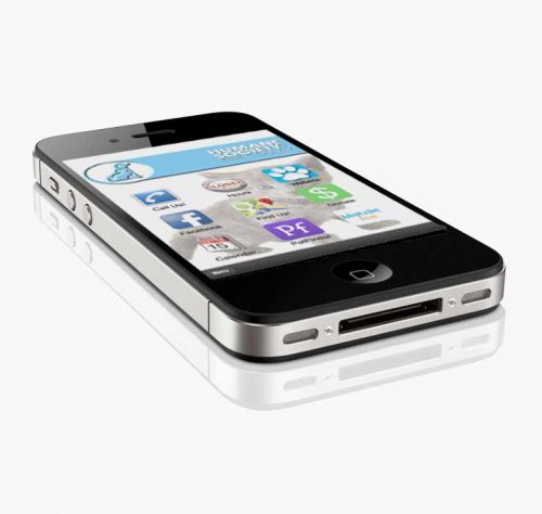 hoc-lap-trinh-lam-web-app-android-iphone-gia-re-o-da-nang-2