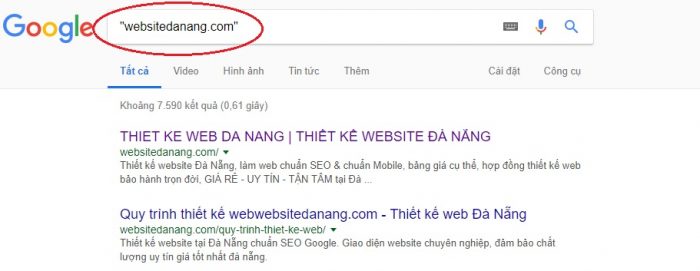 lam-cach-nao-de-kiem-tra-xem-trang-web-cua-toi-co-xuat-hien-tren-google-khong-700x271