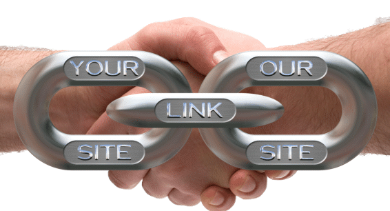 mot-tuan-back-link-bao-nhieu-link-de-dung-top-1